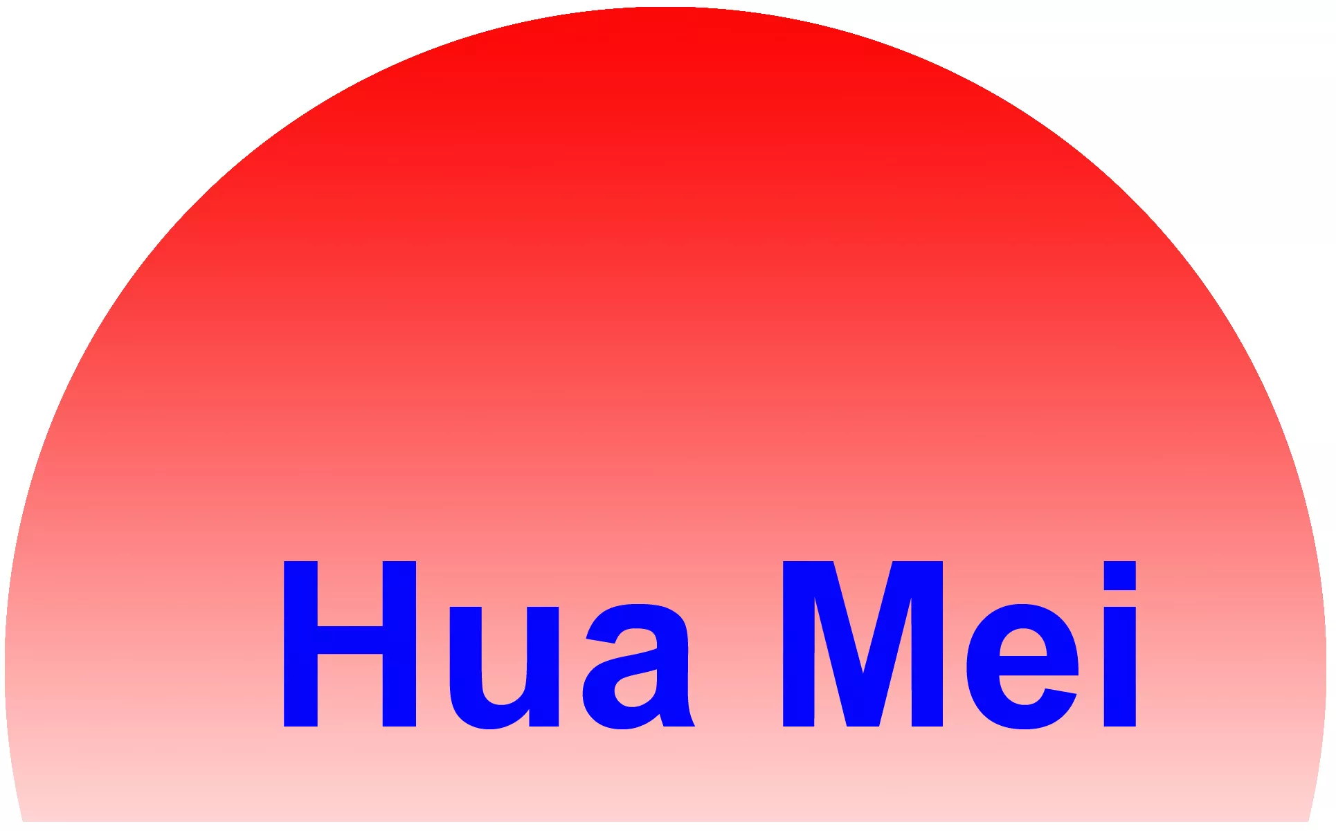 HuaMei Medical Instrument Co Ltd