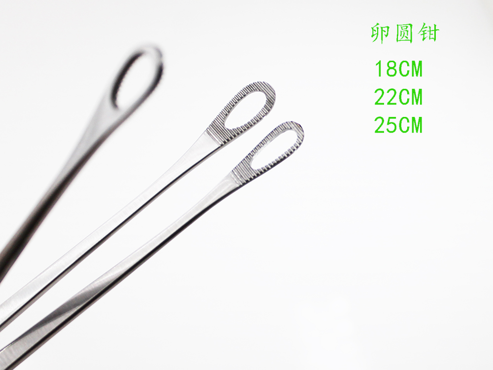 医用海绵钳弯有齿25cm